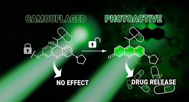 Only active where it’s needed: HUN-REN RCNS researchers are developing a new kind of targeted cancer therapy