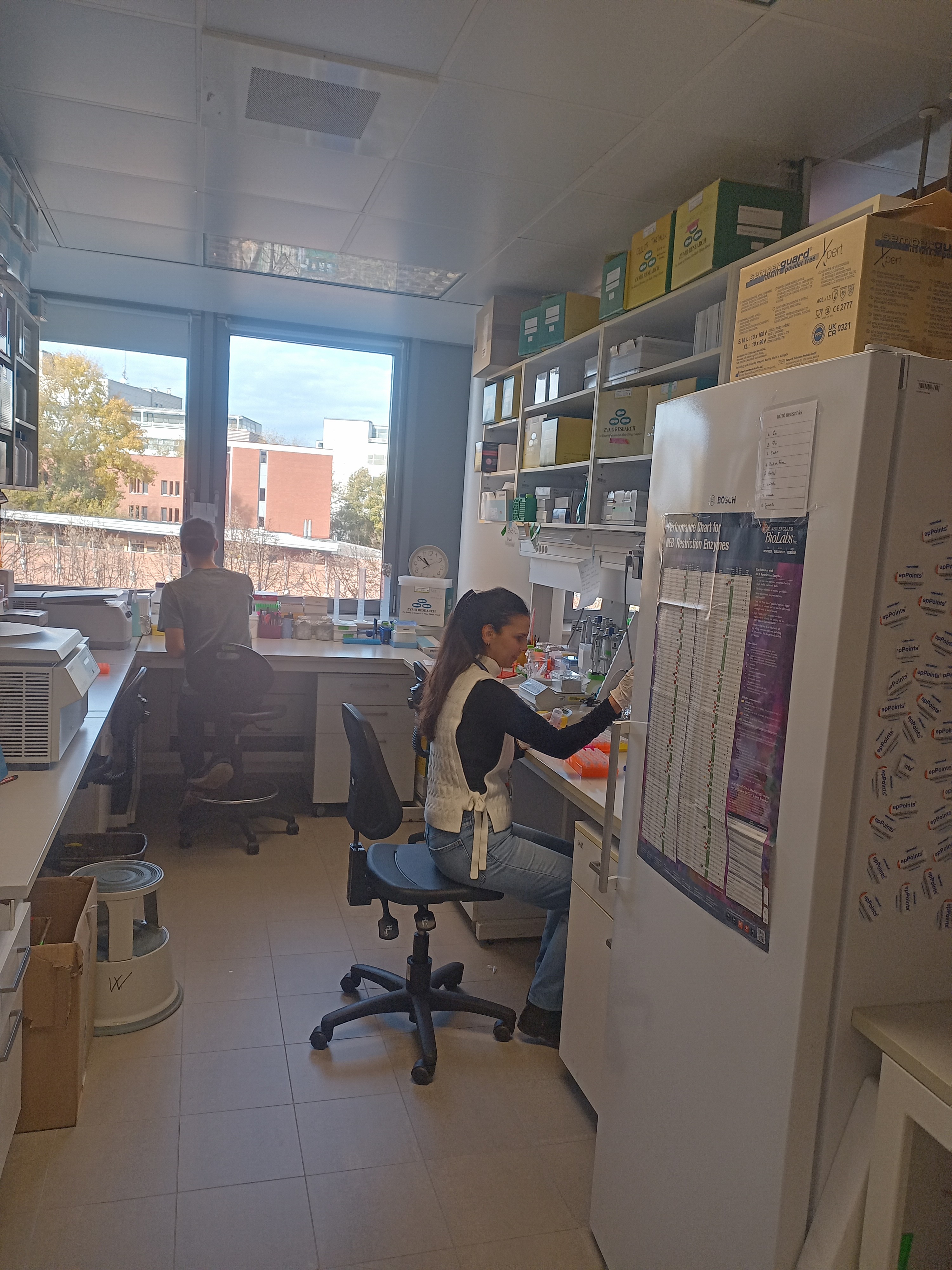 TTK_új génszerkesztés_labor-2