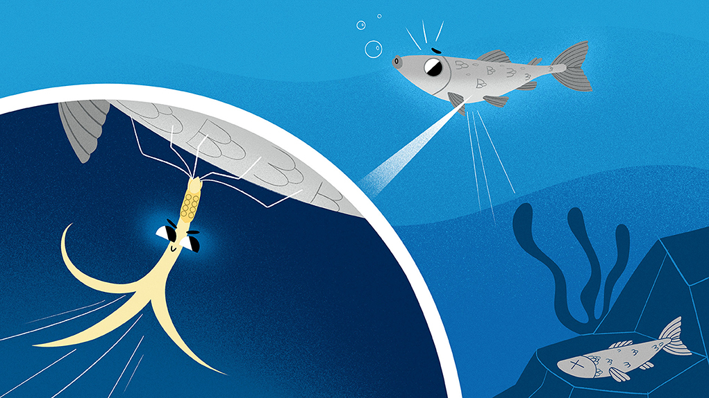 Gyermekek közreműködésével készítettek tudományos publikációt a HUN-REN ÁTKI kutatói